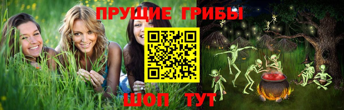 Псилоцибиновые грибы Psilocybe  Вход с VPN  где можно купить   Ухта 